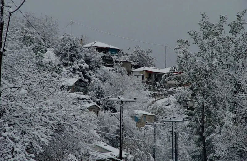 Χιονισμένα σπίτια και δέντρα στην πλαγιά του χωριού